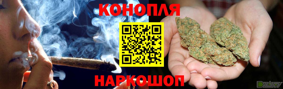 Конопля семена Можга